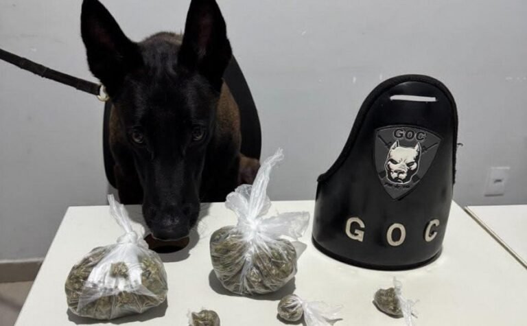 PM localiza drogas no assoalho de veículo e suspeito é preso por tráfico em Palmas