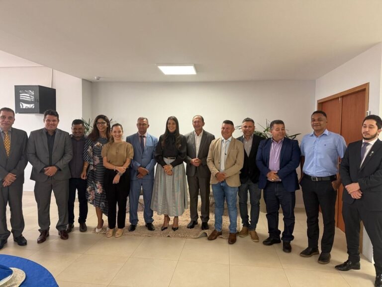 Carlos Amastha e aliados do prefeito se reúnem com secretária de Educação para fortalecer parceria