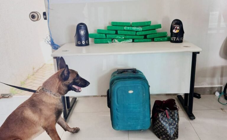 Casal é detido com 10 kg de maconha em blitz da PM em Palmas