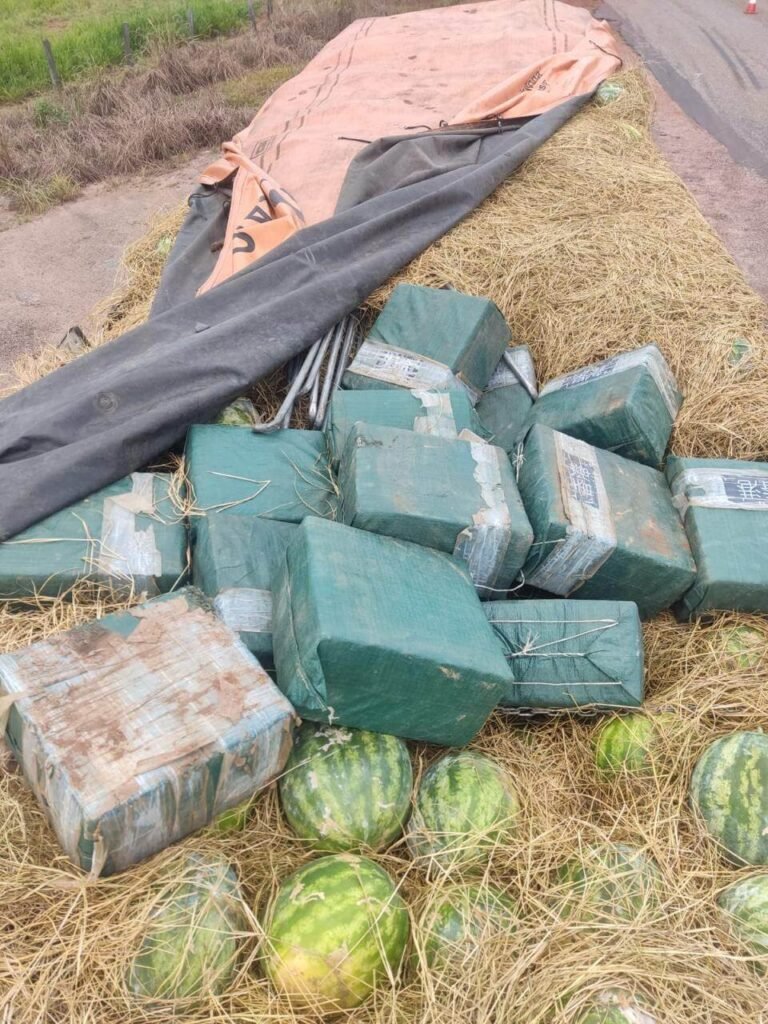 Operação da PF no Tocantins prende cinco e apreende maior quantidade de cocaína em 15 anos