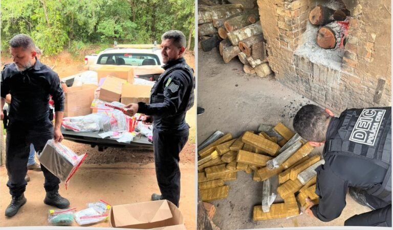 Polícia Civil destrói mais de 150 kg de drogas apreendidos no sul do Tocantins; assista ao vídeo – Diário do Tocantins