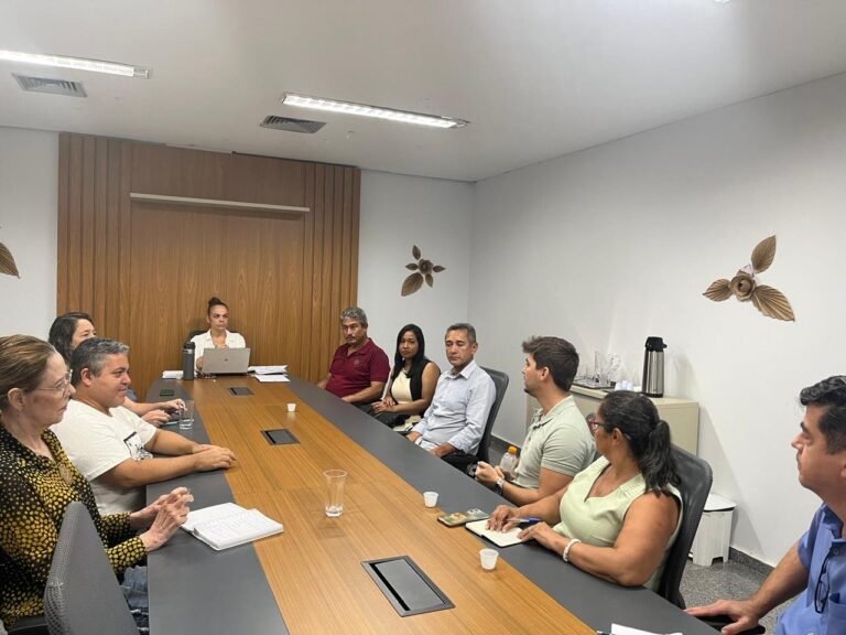 Reunião do colegiado de Palmas debate participação nas eleições do Conselho Nacional da Pessoa com Deficiência