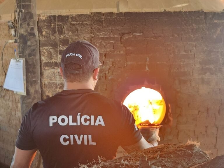 Polícia Civil destrói 7 kg de drogas no sudeste do TO e intensifica ações contra tráfico na fronteira com a Bahia