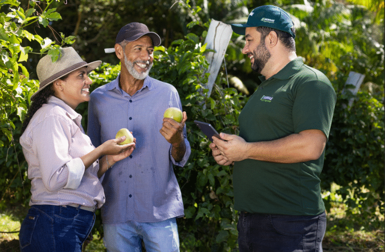 Sebrae apoia empreendedores na ExpoAlmas, no Sudeste do Tocantins